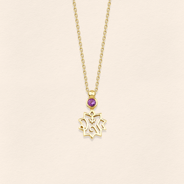 Adel Ametist Altın Kolye