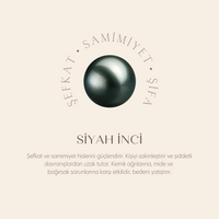 Siyah İnci Aslan Telkari Yüzük Silver Çift Set