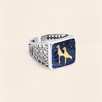 Lapis Turna Telkari Yüzük Silver Çift Set