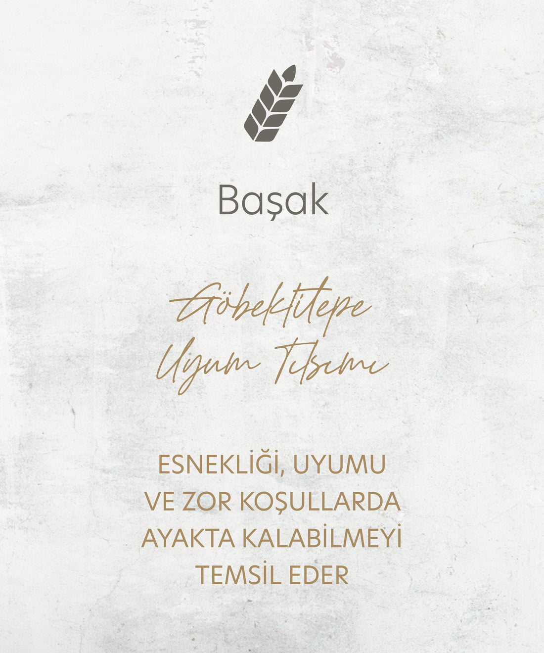 [ORTAK] Başak Altın Unisex Yüzük yakın plan görünüm