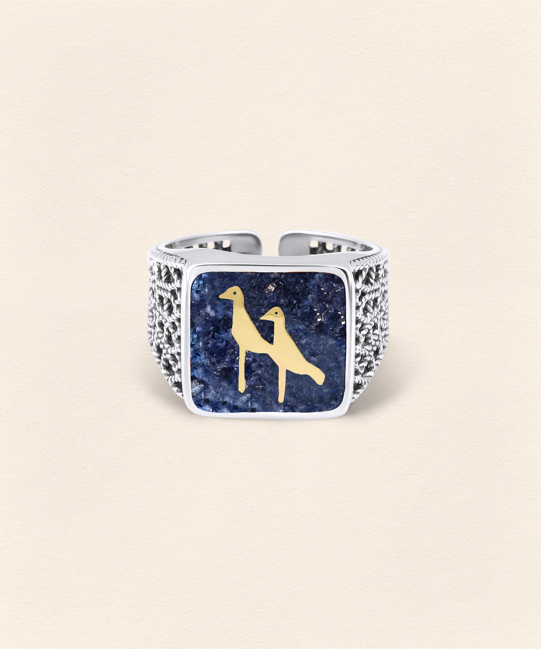 Lapis Turna Telkari Yüzük Silver Çift Set
